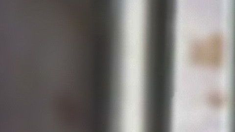 Próximamente, el pollo que comas puede ser transgénico.