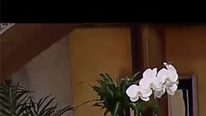 Toni Costa visita Despierta América