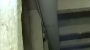 "El Chapo" se fugó del penal Altiplano el  11 de julio de 2015.