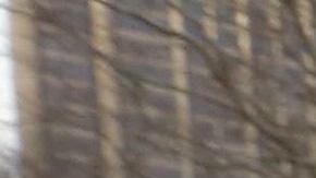 Concentración frente a la estatua de Simón Bolívar, en Central Park