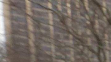 Concentración frente a la estatua de Simón Bolívar, en Central Park