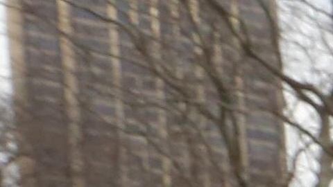 Concentración frente a la estatua de Simón Bolívar, en Central Park