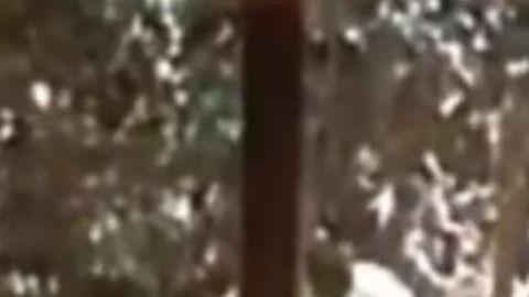 Ésta es una versión del video presentado en la corte.