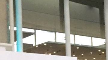 Iván Marcone viajó a Argentina para cerrar su contrato con el Boca Juniors