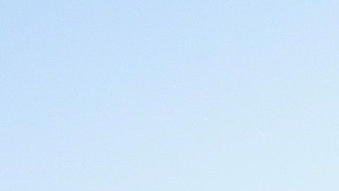 El año pasado Walmart contrató a 1,400 camioneros y en 2019 seguirá haciéndolo./Shutterstock