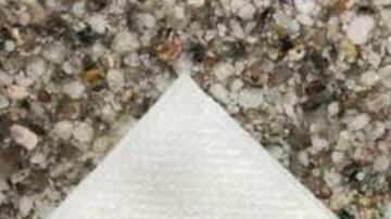 022019-big-tooth-1280x720