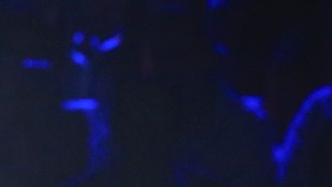 Alejandro Fernández