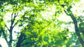 El mindfulness y la meditación generaron en EEUU más de $1 mil millones el año pasado. Getty Images