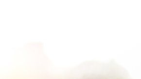 Muchos usuarios de celulares en EE.UU. bajan apps de juegos.