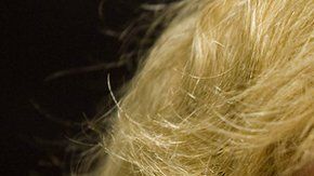 105375717_gettyimages-93523672