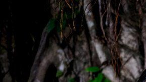 Behrouz Boochani escribió las crónicas de los detenidos en Manus.