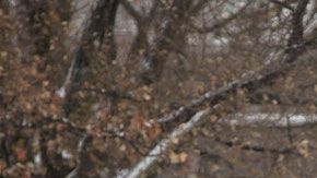 ¿Cuáles son las ventajas que hacen a Canadá tan llamativo?