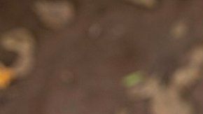 Una mujer de Mombasa, Kenia, conocida como una "mutiladora" , muestra la hojilla de afeitar que usa en los genitales de niñas.