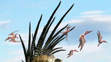 105532362_bajadasaurus1