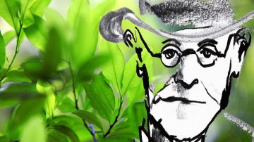 Freud quiso investigar a fondo la planta usada en Latinoamérica.