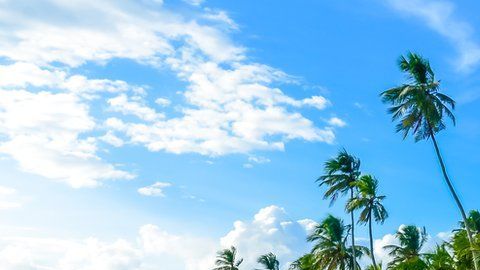 Panamá, Costa Rica y México lideran la lista.