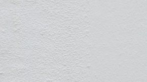 Los bonsáis pueden vivir durante siglos.