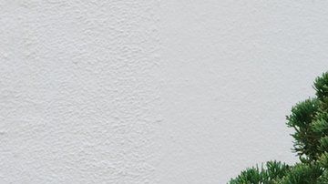 Los bonsáis pueden vivir durante siglos.