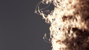 ¿Estás segura de que conoces todos los sitios en los que puede manifestarse una enfermedad contraída durante el sexo?