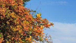 Uno puede recorrer todo Luxemburgo en dos horas.