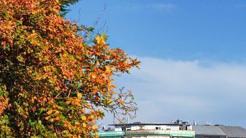 Uno puede recorrer todo Luxemburgo en dos horas.