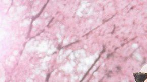 105781261_0a.gettyimages-470724506