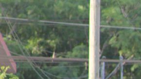 Personal del Ejercito Mexicano patrulla las calles de San Fernando, Tamaulipas.