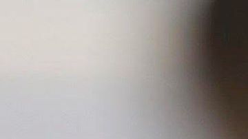 El avión accidentado en que viajaban la gobernadora de Puebla y su esposo.