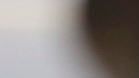 El avión accidentado en que viajaban la gobernadora de Puebla y su esposo.