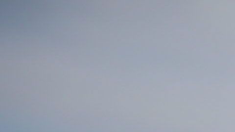 UNOS CUATRO MIL MANIFESTANTES PIDEN LA LEGALIZACIÓN DE LA MARIHUANA EN BRASIL