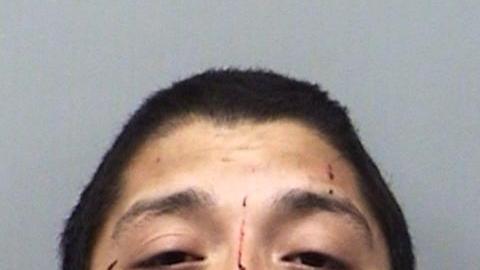 Andrew Joseph Fabila y Paige Isabow Harkings, la madre de los niños.