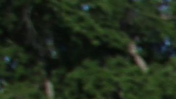 En Los Ángeles habitan más de un millón de inmigrantes indocumentados