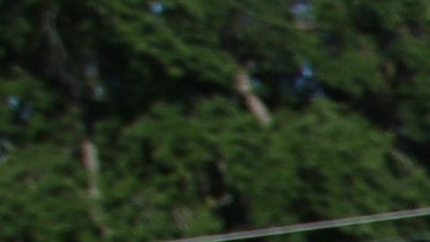 En Los Ángeles habitan más de un millón de inmigrantes indocumentados