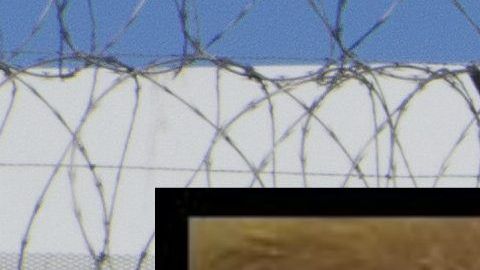 Trump usaría la "emergencia nacional" para construir el muro