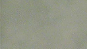 El cardenal McCarrick fue obligado a renunciar el año pasado