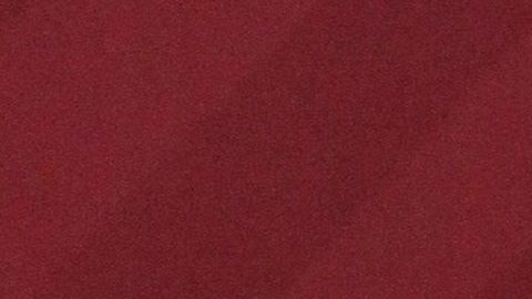 López Obrador ofrece conferencias de prensa matutinas.