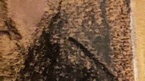 Vicente Zambada habló del plan para transportar droga en barcos petroleros.