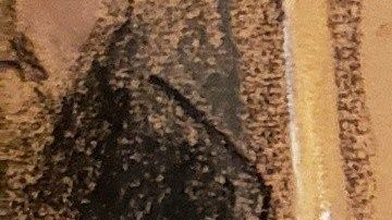 Vicente Zambada habló del plan para transportar droga en barcos petroleros.