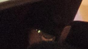 Neymar Jr  espera con paciencia su regreso a las canchas con el PSG.