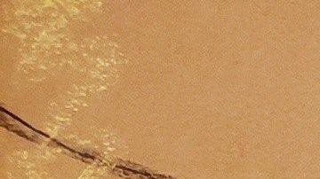 Los dibujos de la Corte no revelaron el rostro del jurado.