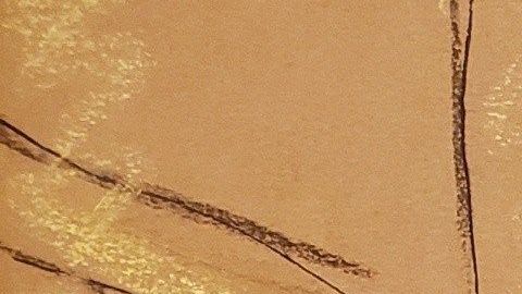 Los dibujos de la Corte no revelaron el rostro del jurado.