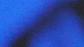 Putin en su discurso del estado de la nación.