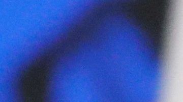 Putin en su discurso del estado de la nación.