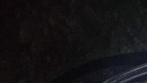 Violencia en Veracruz.