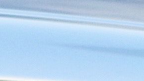 La nueva característica deja saber a otras personas acerca de la salud del animal  en el auto