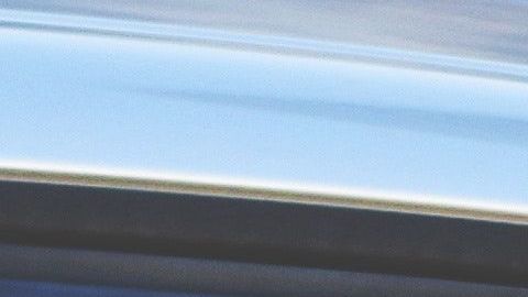 La nueva característica deja saber a otras personas acerca de la salud del animal  en el auto