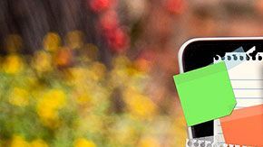 Desde el clima hasta el teléfono, hay muchas cosas capaces de hacerte menos eficiente.