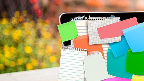 Desde el clima hasta el teléfono, hay muchas cosas capaces de hacerte menos eficiente.