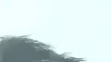 Diversión invernal en la comunidad amish.