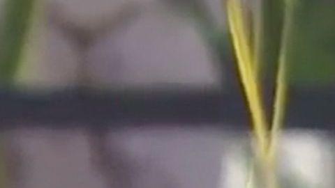 Andrea Legarreta en "Hoy"